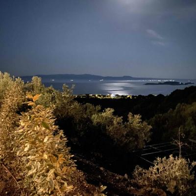 Elialuxuryhouse Photo A 37